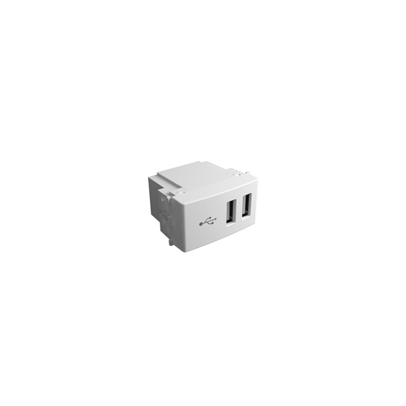 Modulo puerto USB doble 300mA blanco - Teclastar