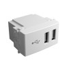 Modulo puerto USB doble 300mA blanco - Teclastar